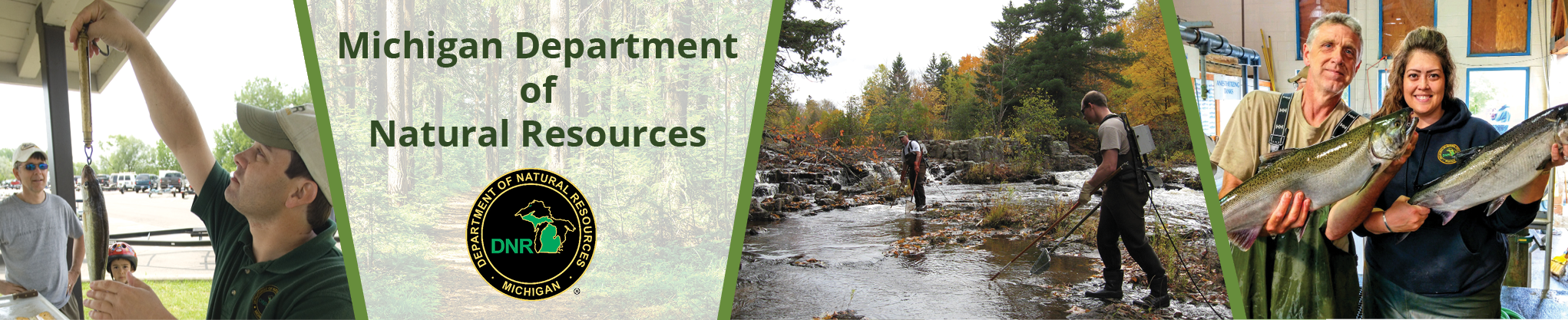 Position Description